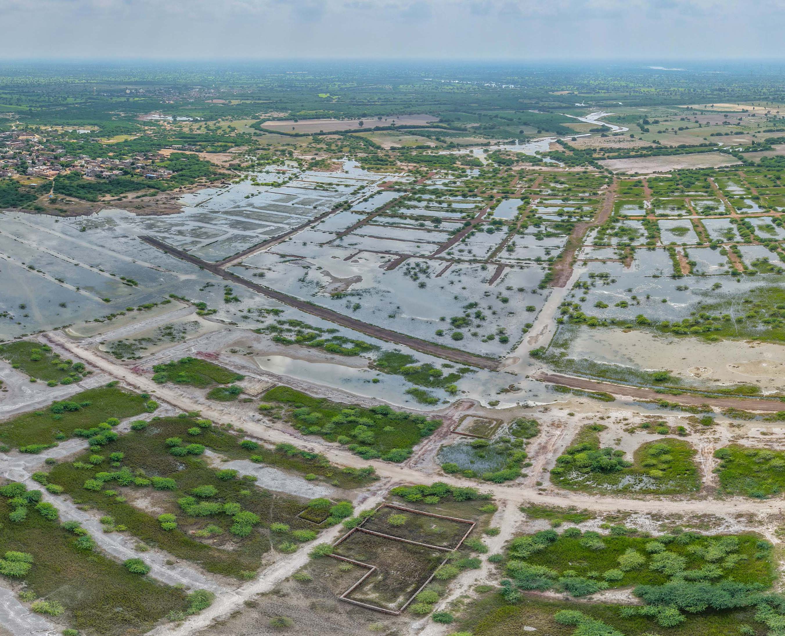 jodhpur
